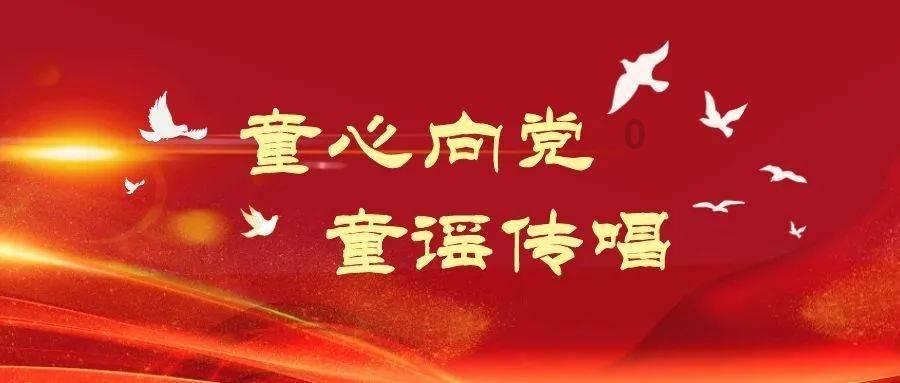 奥利维亚收养猫